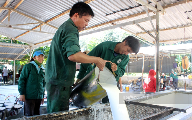 Xanh hóa “vàng trắng” Việt Nam: Trầy trật làm chứng nhận rừng bền vững chỉ để thu hơn 1% lợi nhuận (Bài 1)
